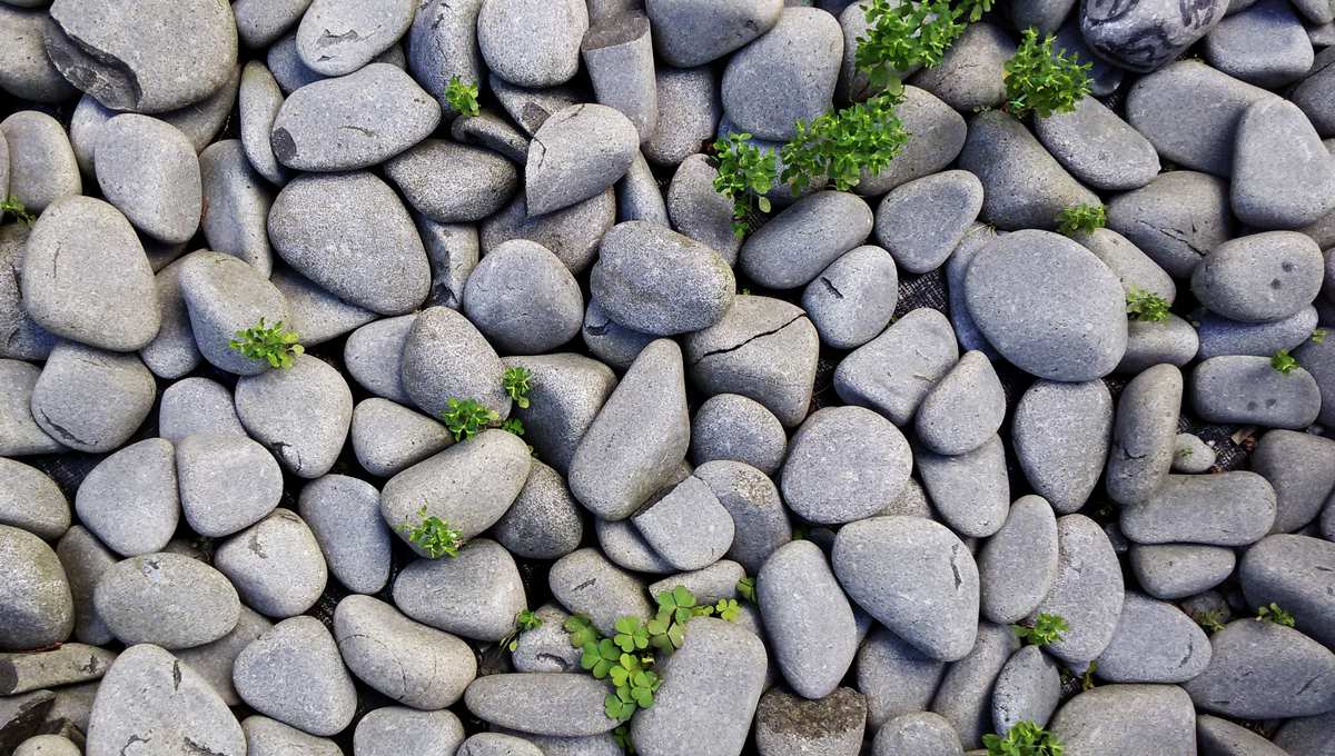 Farbpsychologie: grau