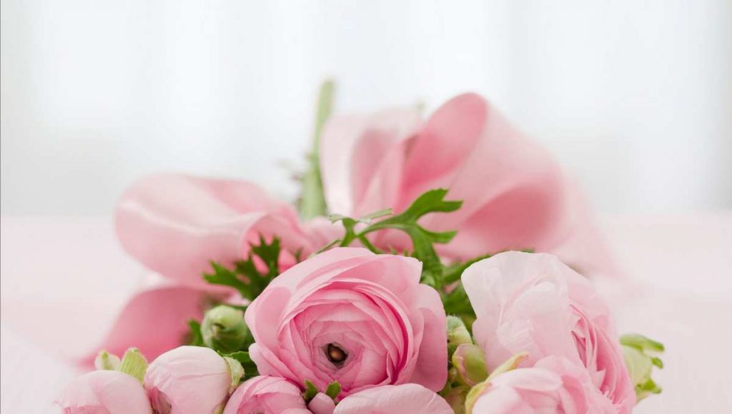 Farbpsychologie: rosa